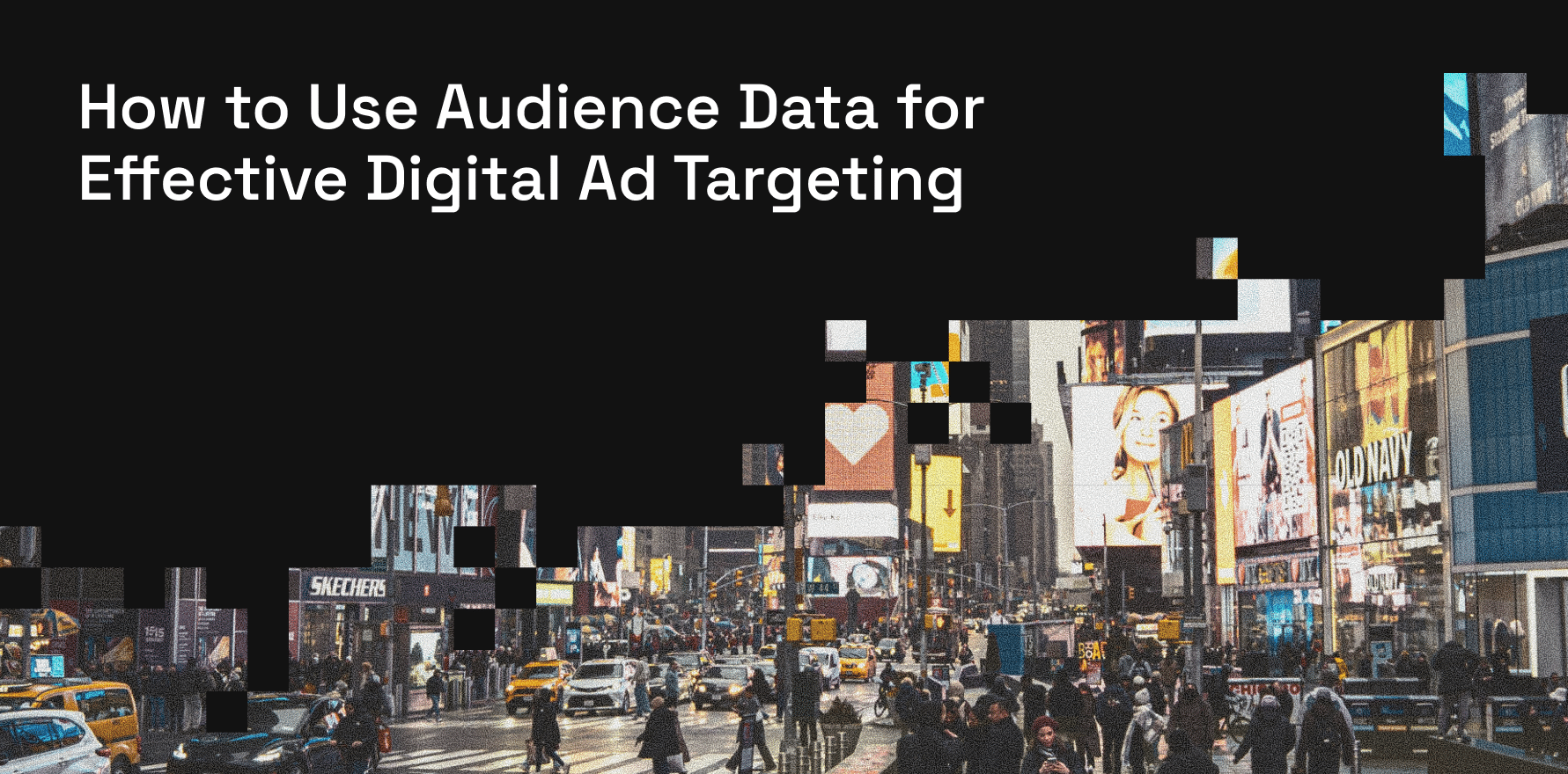 Audience Data for Digital Advertisement Targeting