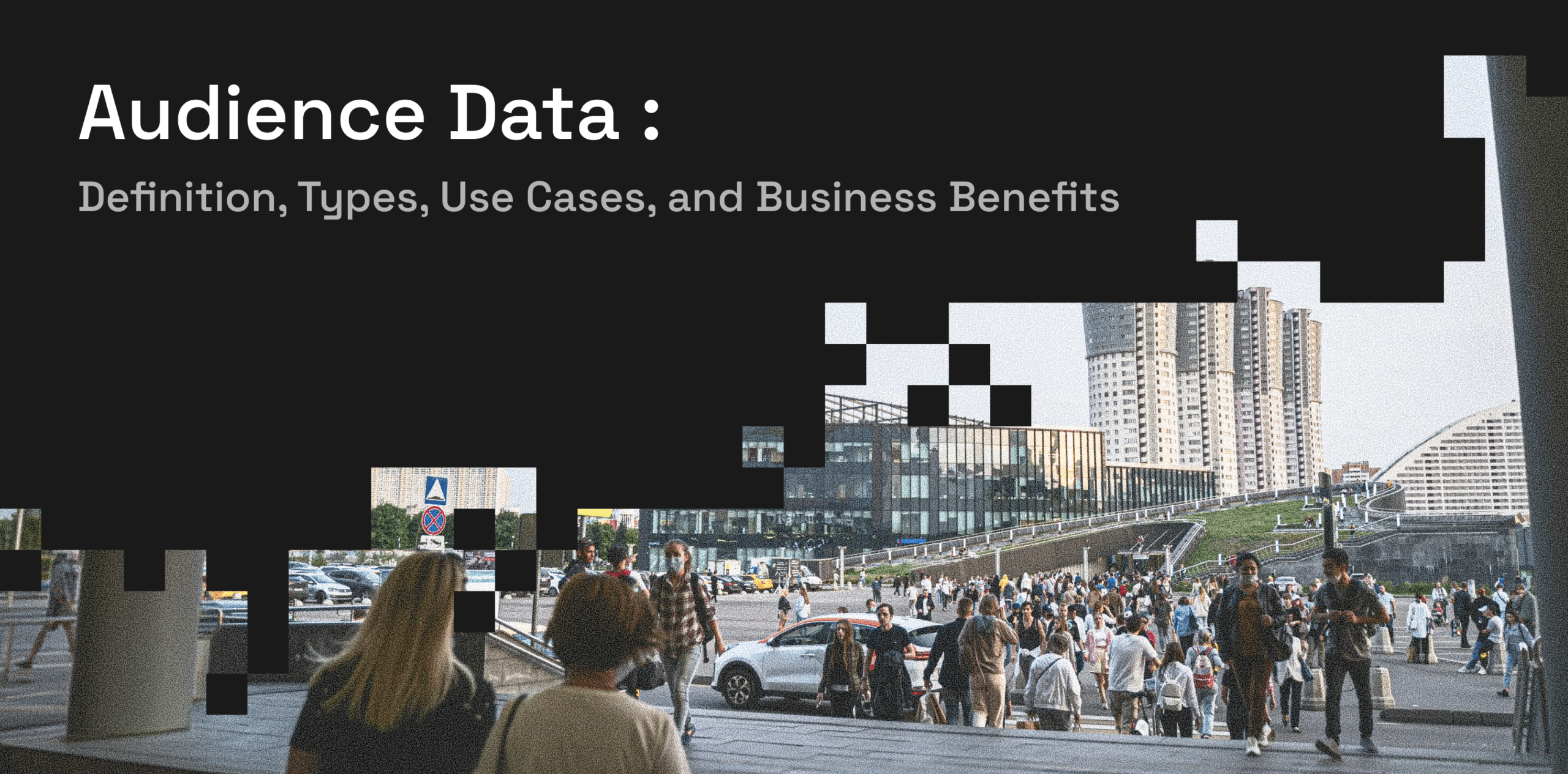 Audience Data_ Definition, Types, Use Cases, and Business Benefits