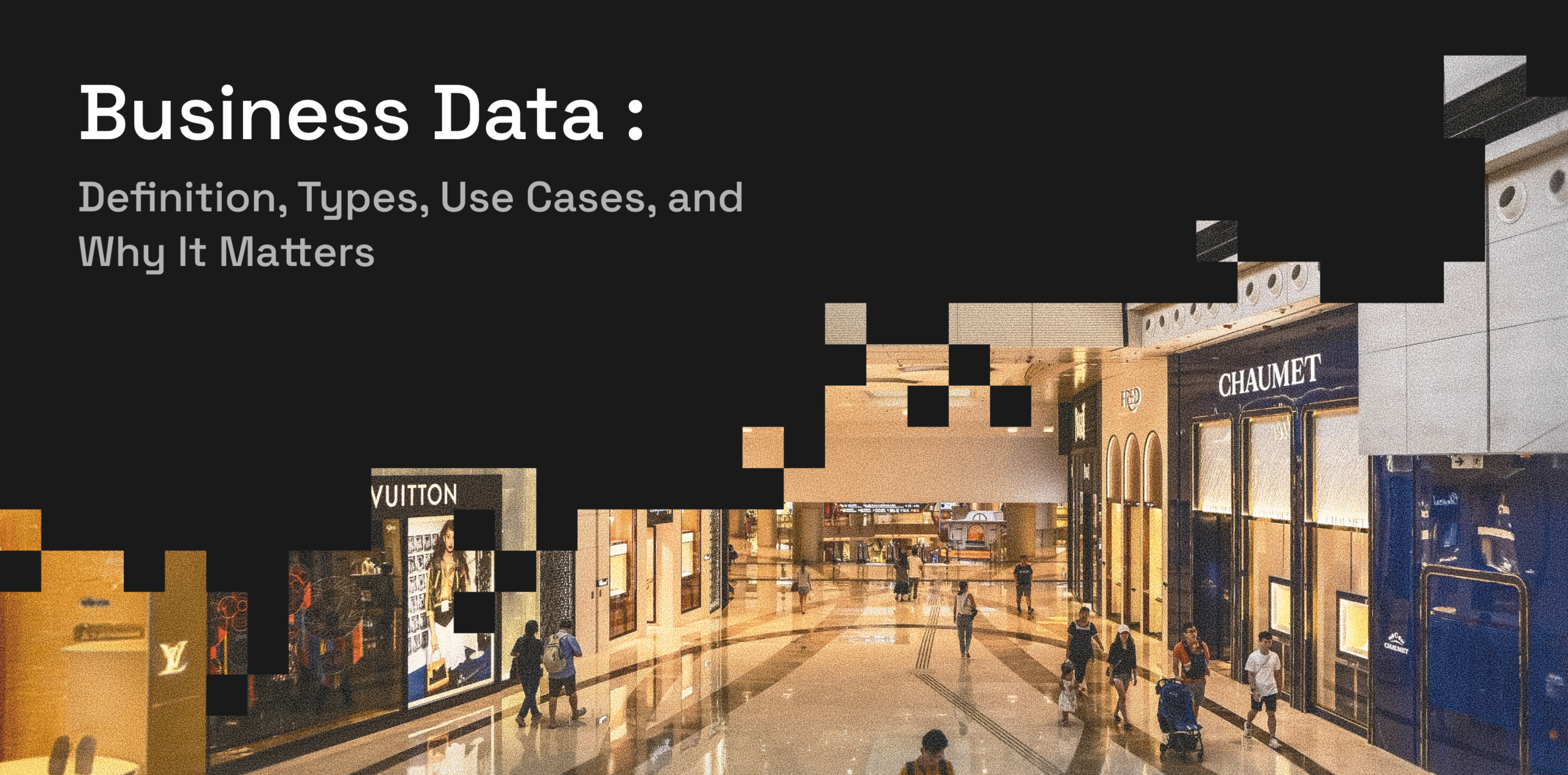 Business Data Guide_ Definition, Types, Use Cases, and Why It Matters