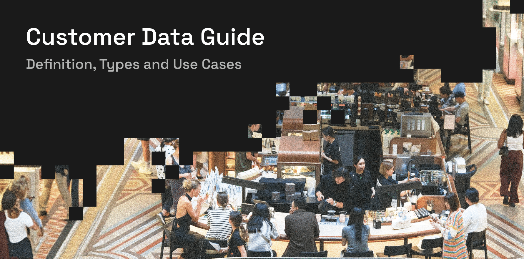 Customer Data Guide