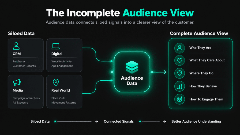 The Incomplete Audience View
